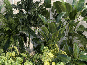 Jardim de palmeiras ex&oacute;ticas e tropicais 1273 Modelo 3D