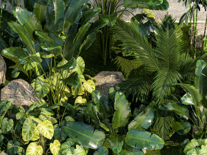 Garden of exotic and tropical palm plants 1273 Modelo 3D