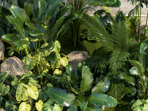 Jardim de palmeiras ex&oacute;ticas e tropicais 1273 Modelo 3D