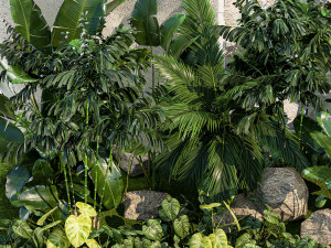 Garden of exotic and tropical palm plants 1273 Modelo 3D