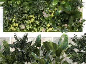 Garden of exotic and tropical palm plants 1273 Modelo 3D