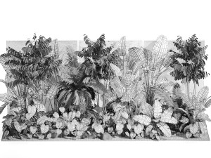 Garden of exotic and tropical palm plants 1273 Modelo 3D