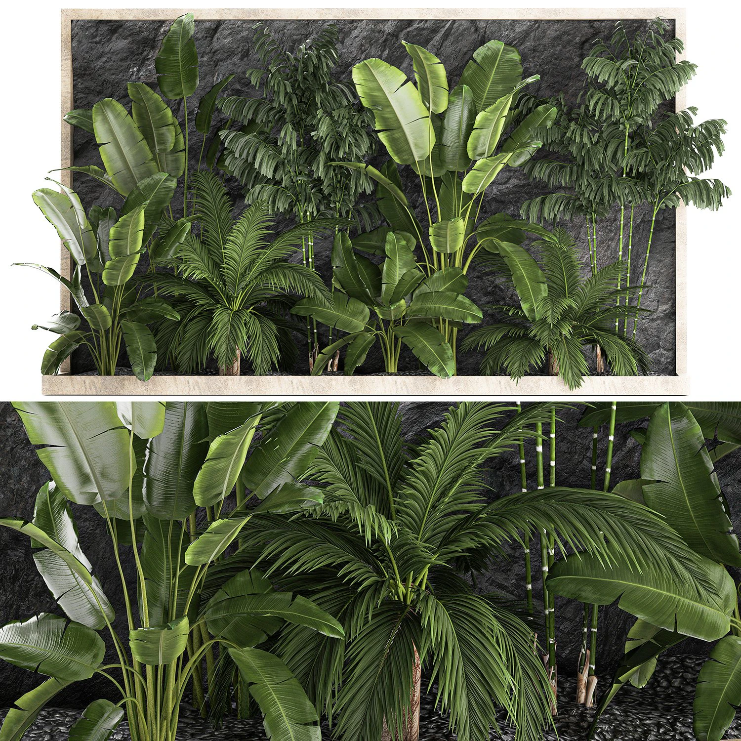 Giardino domestico tropicale con parete rocciosa e ciottoli neri 1276 Modello 3D .c4d .max .obj .3ds .fbx .stl .blend 