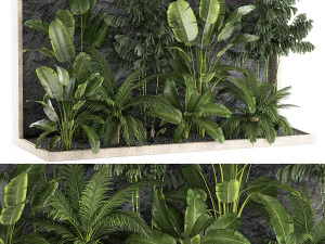 Giardino domestico tropicale con parete rocciosa e ciottoli neri 1276 Modello 3D