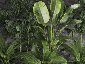 Tropical home garden with rock wall and black pebbles 1276 3D 模型