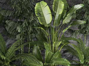 Giardino domestico tropicale con parete rocciosa e ciottoli neri 1276 Modello 3D