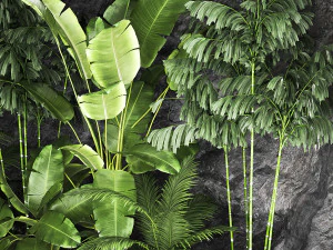 Giardino domestico tropicale con parete rocciosa e ciottoli neri 1276 Modello 3D