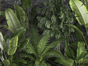 Tropical home garden with rock wall and black pebbles 1276 3D 模型
