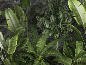 Giardino domestico tropicale con parete rocciosa e ciottoli neri 1276 Modello 3D