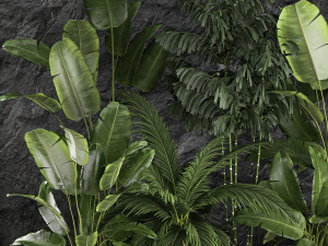 Tropical home garden with rock wall and black pebbles 1276 3D 模型