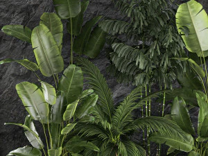 Giardino domestico tropicale con parete rocciosa e ciottoli neri 1276 Modello 3D
