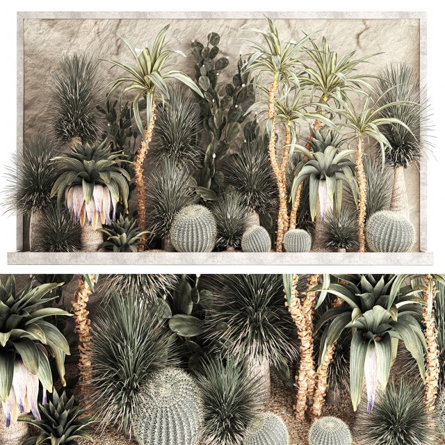 Desert plants for a house with rock wall and gravel 1278 3D Model .c4d .max .obj .3ds .fbx .lwo .lw .lws