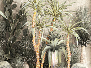 Desert plants for a house with rock wall and gravel 1278 3D Model