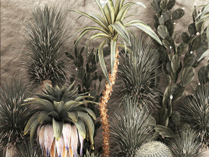 Desert plants for a house with rock wall and gravel 1278 3D Model