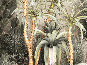 Desert plants for a house with rock wall and gravel 1278 3D Model