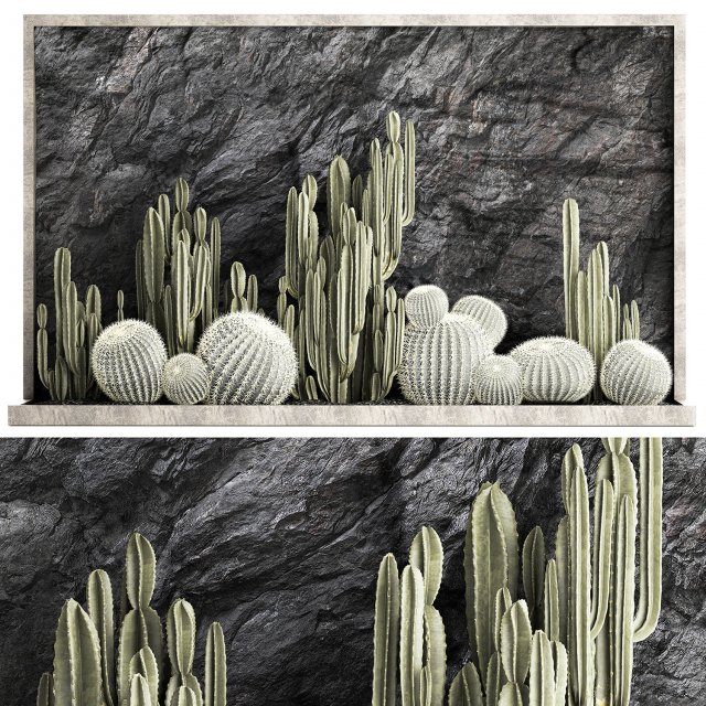 Beautiful cacti and a wall of black rock and pebbles 1279 3D Model .c4d .max .obj .3ds .fbx .lwo .lw .lws