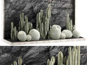 Beautiful cacti and a wall of black rock and pebbles 1279 3D Модель