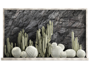 Beautiful cacti and a wall of black rock and pebbles 1279 3D Модель