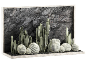 Beautiful cacti and a wall of black rock and pebbles 1279 3D Модель