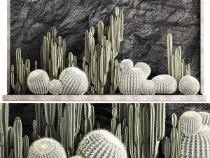 Beautiful cacti and a wall of black rock and pebbles 1279 3D Модель