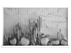 Beautiful cacti and a wall of black rock and pebbles 1279 3D Модель