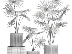 Beautiful fan palms in flower pots for decoration 1280 3D Model