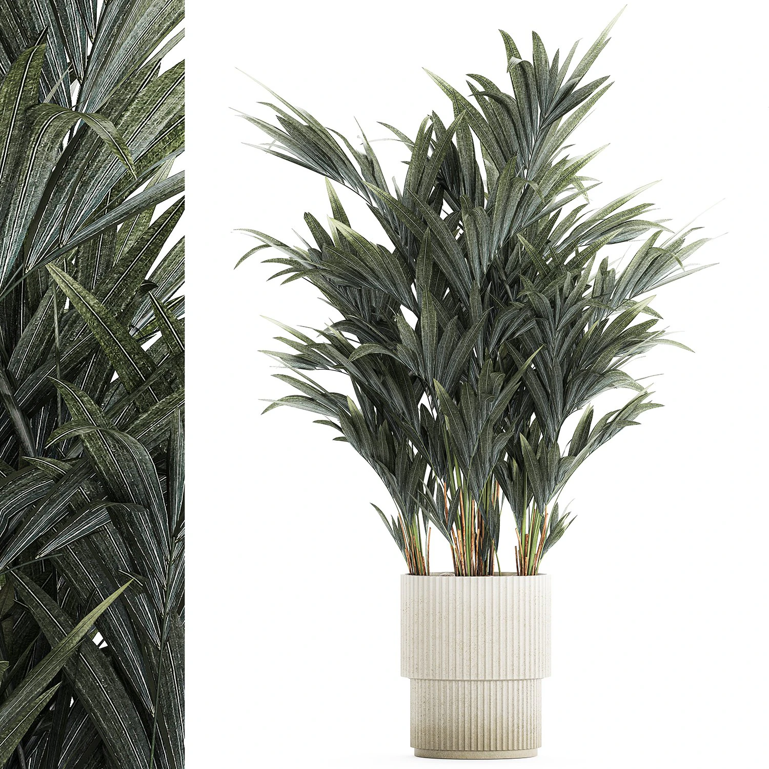 Beautiful palm tree in a flower pot for decoration 1281 3D Model .c4d .max .obj .3ds .fbx .stl .blend 