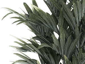 Beautiful palm tree in a flower pot for decoration 1281 Modelo 3D