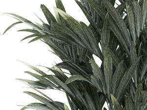Beautiful palm tree in a flower pot for decoration 1281 3D Model