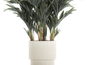 Beautiful palm tree in a flower pot for decoration 1281 Modelo 3D