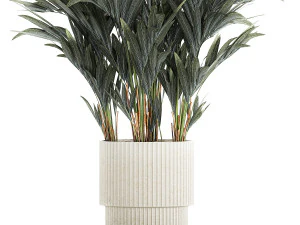 Beautiful palm tree in a flower pot for decoration 1281 3D Model