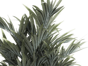 Beautiful palm tree in a flower pot for decoration 1281 Modelo 3D