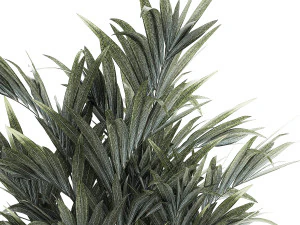 Beautiful palm tree in a flower pot for decoration 1281 3D Model