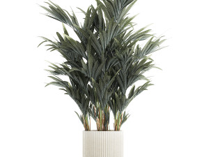 Beautiful palm tree in a flower pot for decoration 1281 Modelo 3D