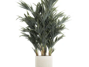 Beautiful palm tree in a flower pot for decoration 1281 3D Model