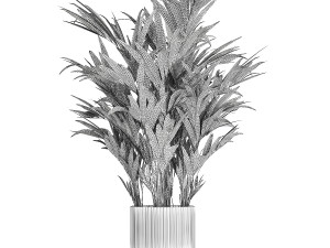Beautiful palm tree in a flower pot for decoration 1281 Modelo 3D