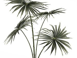 Beautiful fan palm in a flower pot for decoration 1282 3D Model