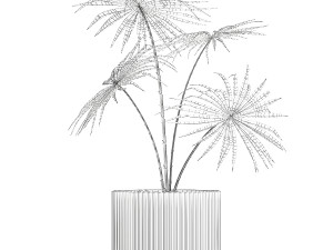 Beautiful fan palm in a flower pot for decoration 1282 3D Модель
