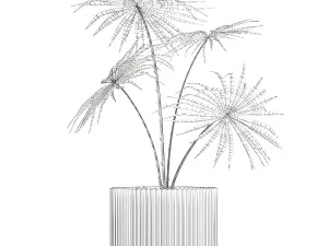 Beautiful fan palm in a flower pot for decoration 1282 3D Model