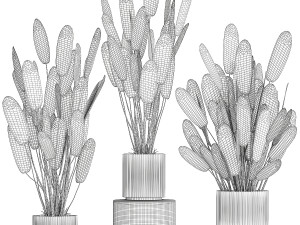 Beautiful Strelitzia in a flower pot for decoration 1284 3D Модель