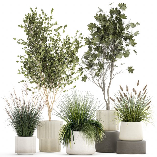 Beautiful bushes trees and grass in a flower pot for decoration 1286 Modello 3D .c4d .max .obj .3ds .fbx .stl .blend 