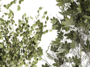 Beautiful bushes trees and grass in a flower pot for decoration 1286 Modello 3D