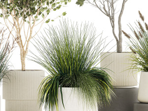 Beautiful bushes trees and grass in a flower pot for decoration 1286 Modello 3D
