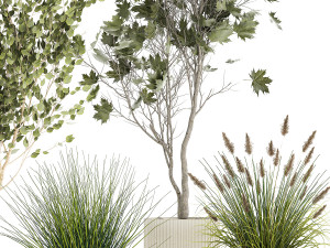 Beautiful bushes trees and grass in a flower pot for decoration 1286 Modello 3D