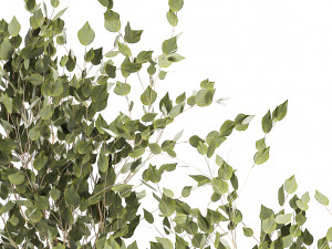 Beautiful bushes trees and grass in a flower pot for decoration 1286 Modello 3D