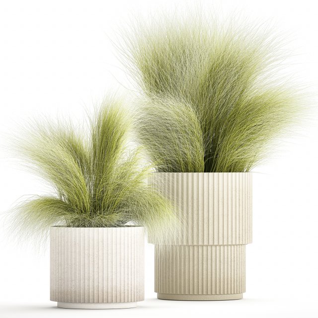 Beautiful Bushes and Stipa Feather Grass flower pot for decoration 1287 3D Model .c4d .max .obj .3ds .fbx .lwo .lw .lws