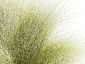 Beautiful Bushes and Stipa Feather Grass flower pot for decoration 1287 Modelo 3D
