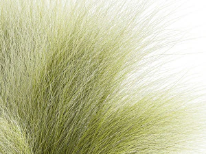 Beautiful Bushes and Stipa Feather Grass flower pot for decoration 1287 3D Model