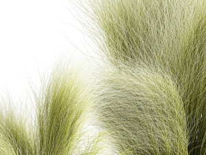Beautiful Bushes and Stipa Feather Grass flower pot for decoration 1287 Modelo 3D