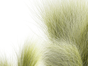 Beautiful Bushes and Stipa Feather Grass flower pot for decoration 1287 Modelo 3D